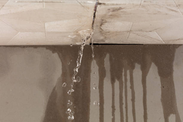 Professional Water Damage Repair technician working in East Longmeadow, MA